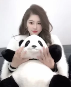 武清区，新手可来